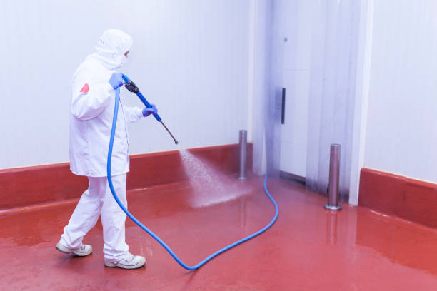 Best Paint Preparation  in Vienna, GA