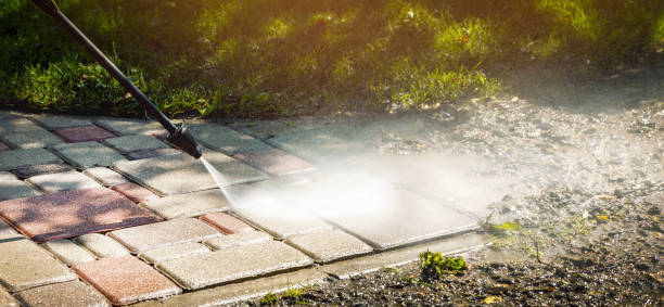 Professional  Pressure Washing Services in Vienna, GA
