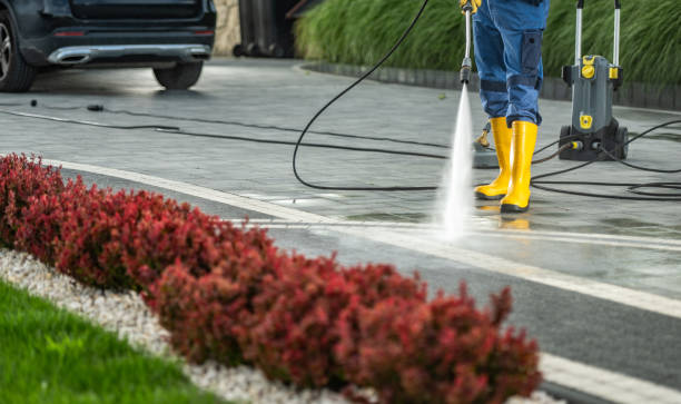 Pre-Holiday Cleaning in Vienna, GA
